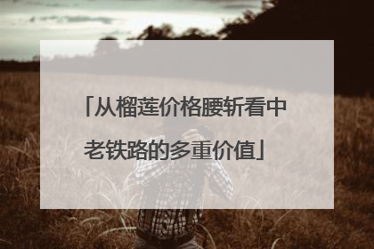 从榴莲价格腰斩看中老铁路的多重价值