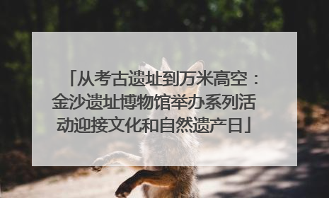 从考古遗址到万米高空：金沙遗址博物馆举办系列活动迎接文化和自然遗产日