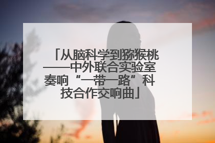 从脑科学到猕猴桃——中外联合实验室奏响“一带一路”科技合作交响曲
