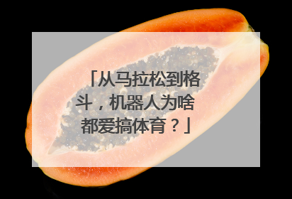 从马拉松到格斗，机器人为啥都爱搞体育？