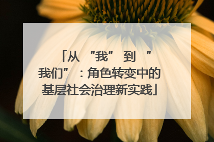 从 “我” 到 “我们”：角色转变中的基层社会治理新实践