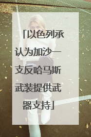 以色列承认为加沙一支反哈马斯武装提供武器支持
