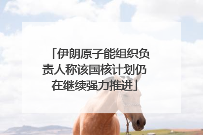 伊朗原子能组织负责人称该国核计划仍在继续强力推进