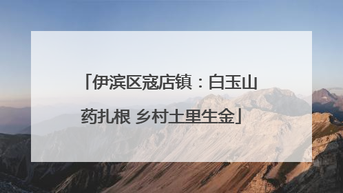 伊滨区寇店镇：白玉山药扎根 乡村土里生金