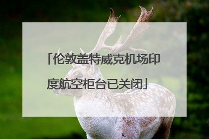 伦敦盖特威克机场印度航空柜台已关闭