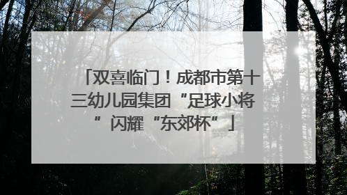双喜临门！成都市第十三幼儿园集团“足球小将”闪耀“东郊杯”