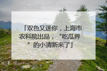 双色又迷你，上海市农科院出品，“吃瓜界”的小清新来了