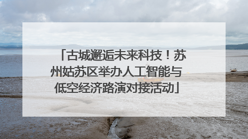 古城邂逅未来科技！苏州姑苏区举办人工智能与低空经济路演对接活动