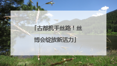 古都携手丝路！丝博会绽放新活力