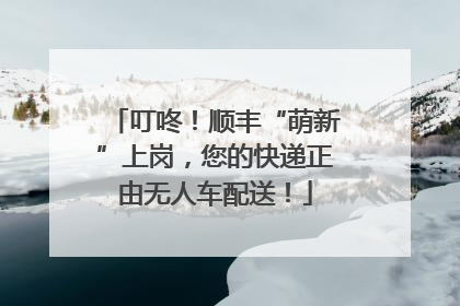 叮咚！顺丰“萌新”上岗，您的快递正由无人车配送！