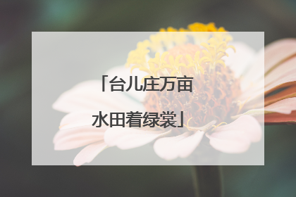 台儿庄万亩水田着绿裳