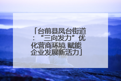 台前县凤台街道：“三向发力”优化营商环境 赋能企业发展新活力