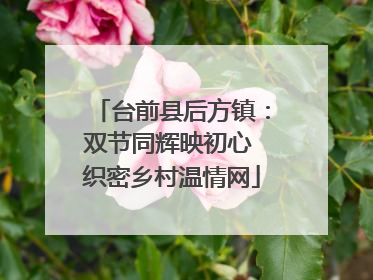 台前县后方镇：双节同辉映初心 织密乡村温情网