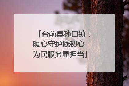 台前县孙口镇：暖心守护践初心 为民服务显担当
