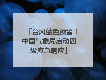 台风蓝色预警！中国气象局启动四级应急响应