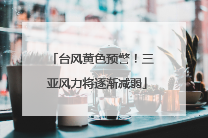 台风黄色预警！三亚风力将逐渐减弱