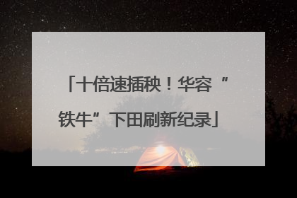 十倍速插秧！华容“铁牛”下田刷新纪录