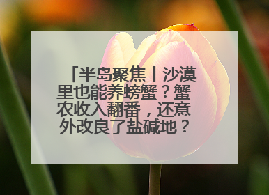 半岛聚焦丨沙漠里也能养螃蟹？蟹农收入翻番，还意外改良了盐碱地？咋做到的？