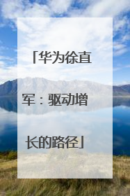华为徐直军：驱动增长的路径