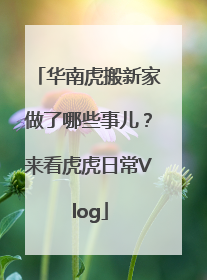华南虎搬新家做了哪些事儿？来看虎虎日常Vlog