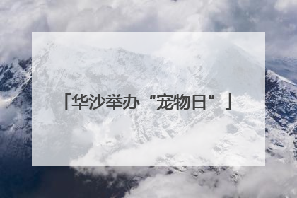 华沙举办“宠物日”
