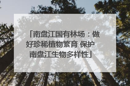 南盘江国有林场：做好珍稀植物繁育 保护南盘江生物多样性