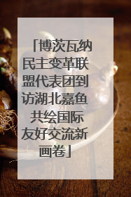 博茨瓦纳民主变革联盟代表团到访湖北嘉鱼 共绘国际友好交流新画卷
