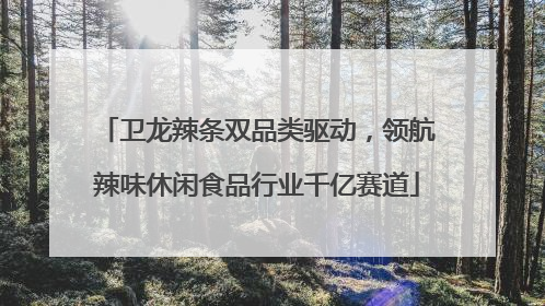 卫龙辣条双品类驱动，领航辣味休闲食品行业千亿赛道
