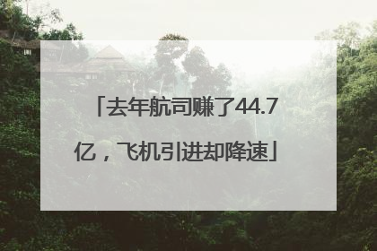 去年航司赚了44.7亿，飞机引进却降速