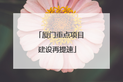厦门重点项目建设再提速