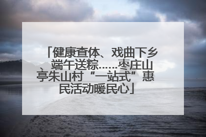 健康查体、戏曲下乡、端午送粽……枣庄山亭朱山村“一站式”惠民活动暖民心