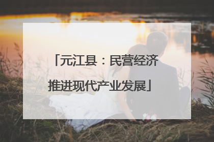 元江县：民营经济推进现代产业发展