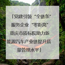 党建引领“全链条” 服务企业“零距离” 重庆市质标院助力新能源汽车产业链提升质量管理水平