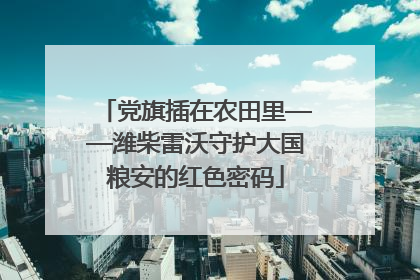 党旗插在农田里——潍柴雷沃守护大国粮安的红色密码