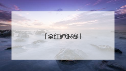 全红婵退赛