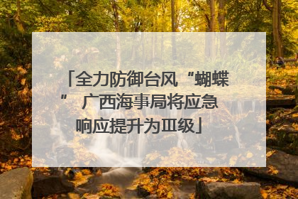 全力防御台风“蝴蝶” 广西海事局将应急响应提升为Ⅲ级