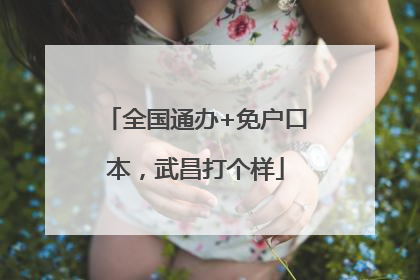 全国通办+免户口本，武昌打个样