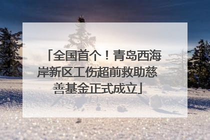 全国首个！青岛西海岸新区工伤超前救助慈善基金正式成立