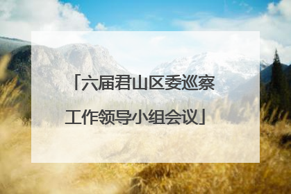 六届君山区委巡察工作领导小组会议