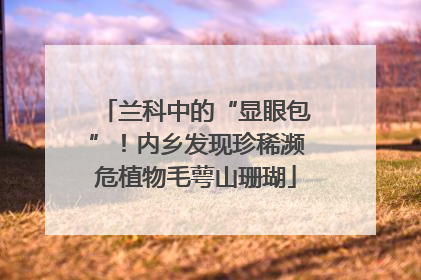 兰科中的“显眼包”！内乡发现珍稀濒危植物毛萼山珊瑚