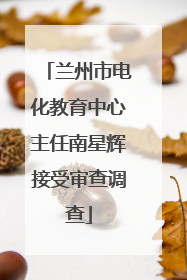 兰州市电化教育中心主任南星辉接受审查调查