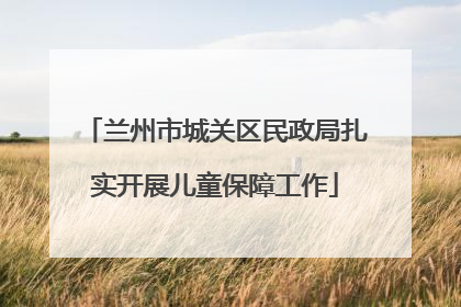 兰州市城关区民政局扎实开展儿童保障工作