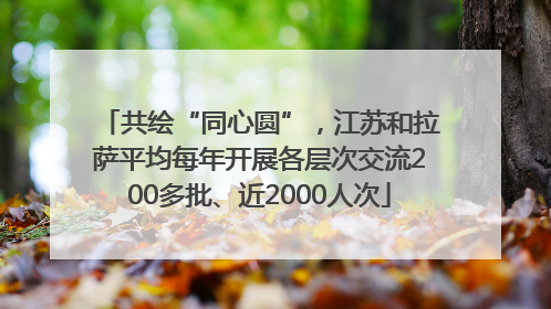 共绘“同心圆”，江苏和拉萨平均每年开展各层次交流200多批、近2000人次