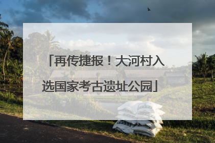 再传捷报！大河村入选国家考古遗址公园