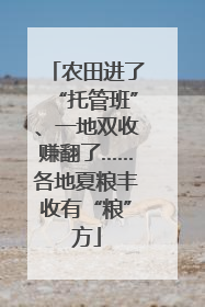 农田进了“托管班”、一地双收赚翻了……各地夏粮丰收有“粮”方