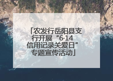 农发行岳阳县支行开展“6·14信用记录关爱日” 专题宣传活动
