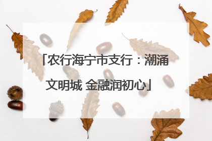 农行海宁市支行：潮涌文明城 金融润初心