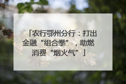 农行鄂州分行：打出金融“组合拳”，助燃消费“烟火气”