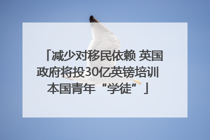 减少对移民依赖 英国政府将投30亿英镑培训本国青年“学徒”
