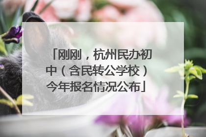 刚刚，杭州民办初中（含民转公学校）今年报名情况公布
